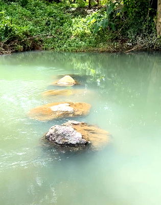 ขายที่ดิน : ขายที่ดินสวย ติดน้ำ พร้อมผลไม้ – ต.นาหินลาด อ.ปากพลี จ.นครนายก