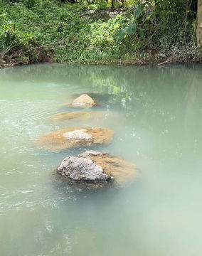 ขายที่ดินสวย ติดน้ำ พร้อมผลไม้ – ต.นาหินลาด อ.ปากพลี จ.นครนายก