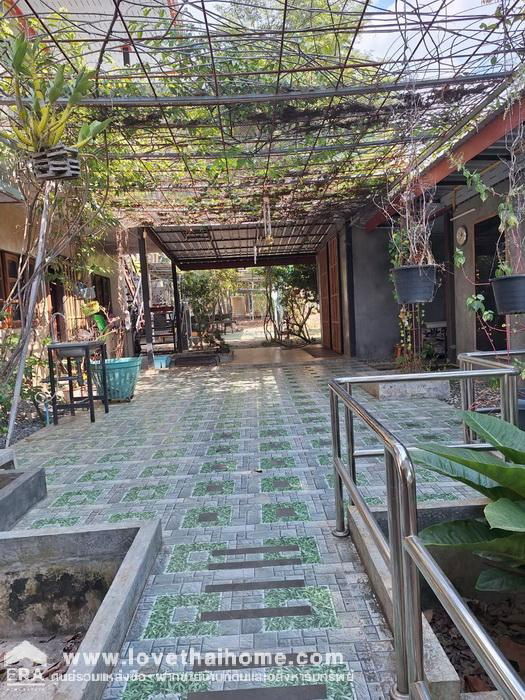 รูป ที่ดินเนื้อที่ 3ไร่+พร้อมบ้าน3หลัง,1เรือนรับรอง พะเยา ภูซาง ธรรมชาติบรรยากาศดี ใก้ลพระธาตุภูซาง ด้านหลังติดลำธาร พักผ่อนรับรองญาติมิตร ร้านคาเฟ่ริมธาร - รูปที่ 4/9