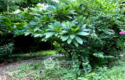 Land for sale Boromratchachonnani Nursing College : 924 m² Land for Sale in Wong Sawang (ID 1973077)