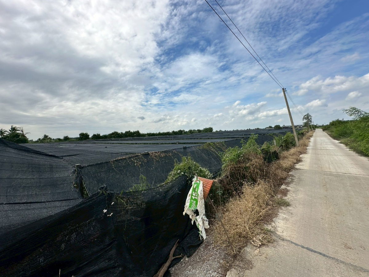 picture Land For Sale 73,104 SQ.M In Nakhon Pathom , Bang Len district - 2/9