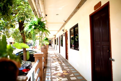 Apartment building for sale Bueng Thung Sang Health Garden : Apartment for Sale – Non Muang, Khon Kaen