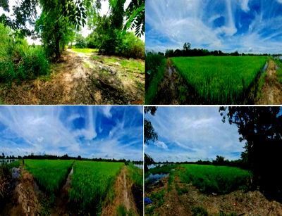 Land for sale Bang Sai Phra Nakhon Sri Ayutthaya : ที่ดินเปล่า 29248 square meter Phra Nakhon Sri Ayutthaya Bang Sai Sanamchai for 10457000 THB