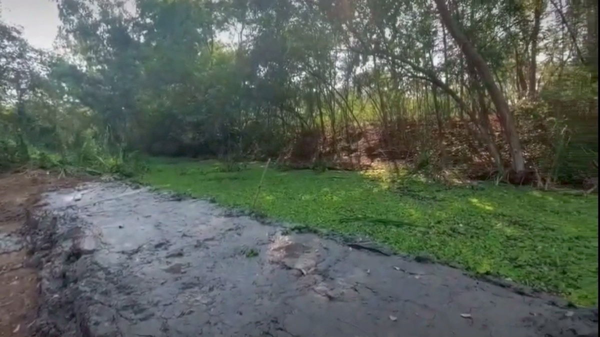 picture Empty land for sale, already filled - 2/3