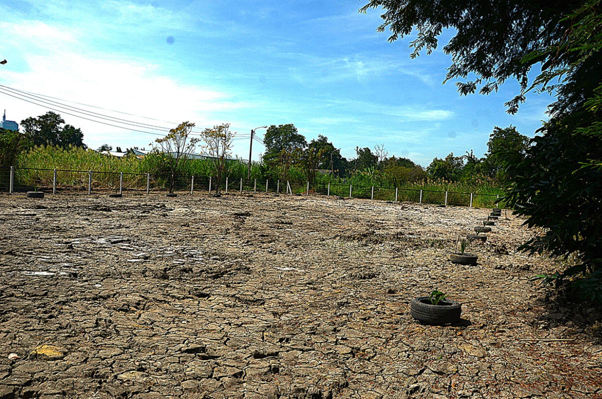 รูป ขายที่ดินซอยติวานนท์ ปากเกร็ด 34 ถมสูง ล้อมรั้วแล้ว เหมาะทำบ้านคฤหาสน์ บ้านครอบครัวใหญ่ อากาศดี เพื่อนบ้านดี - รูปที่ 2/6