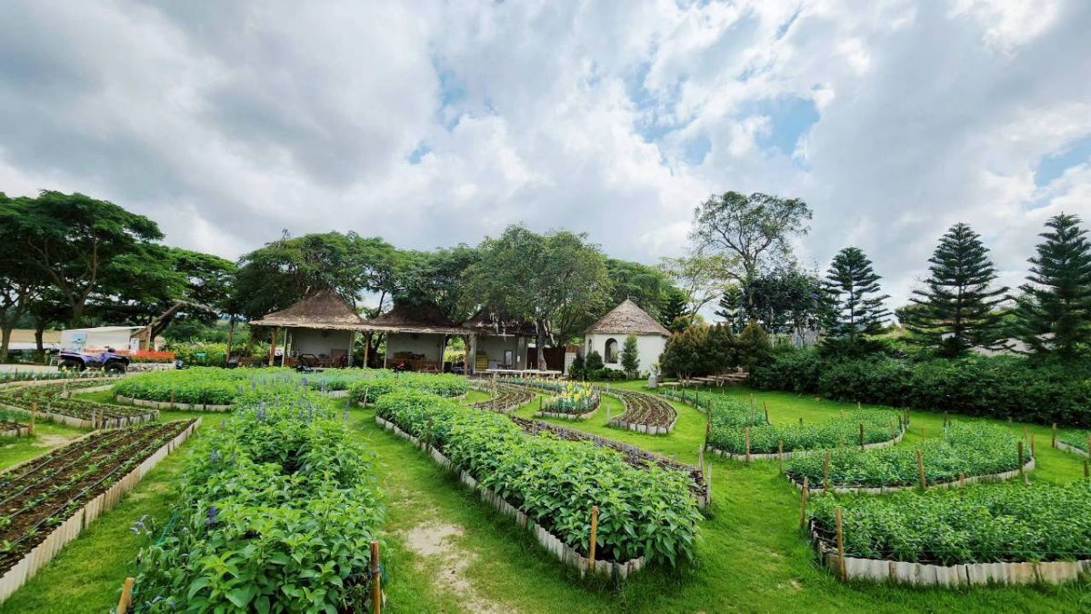 picture #Khao Yai land, Soi Kamnan Joe, 36 rai (next to The Peak Flower Land), - 5/20