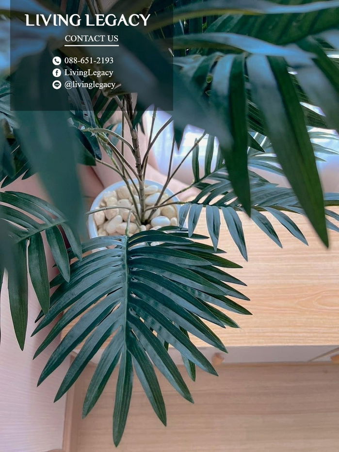 รูป SKU7LX ให้เช่าคอนโด Supalai Veranda Ramkhamhaeng 29 ตร.ม. ชั้น 27 ตึก A line id : @livinglegacy - รูปที่ 6/11