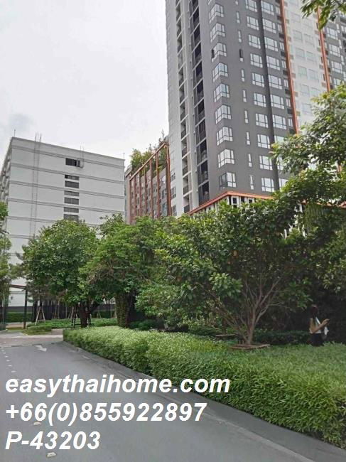 picture P-43203 Condo for rent XT Huaykwang fully furnished (Confirm again when visit).  - 9/13