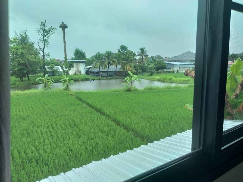 picture Two storey house for rent with 2 bedrooms,2 toilets and 1 kitchen.  - 8/10