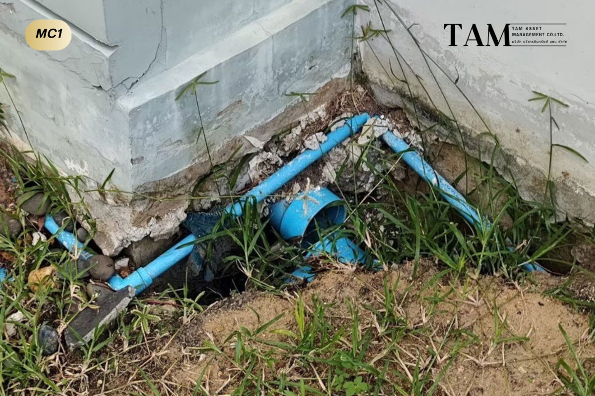 รูป (ยินดีรับนายหน้า) ให้เช่าบ้านเดี่ยวโครงการ อิคอนเนเจอร์ บางขุนเทียน-ชายทะเล (Iconature Rama 2 - Thian Thale) ใกล้ทางด่วนและเซ็นทรัล พระราม 2 - รูปที่ 26/26