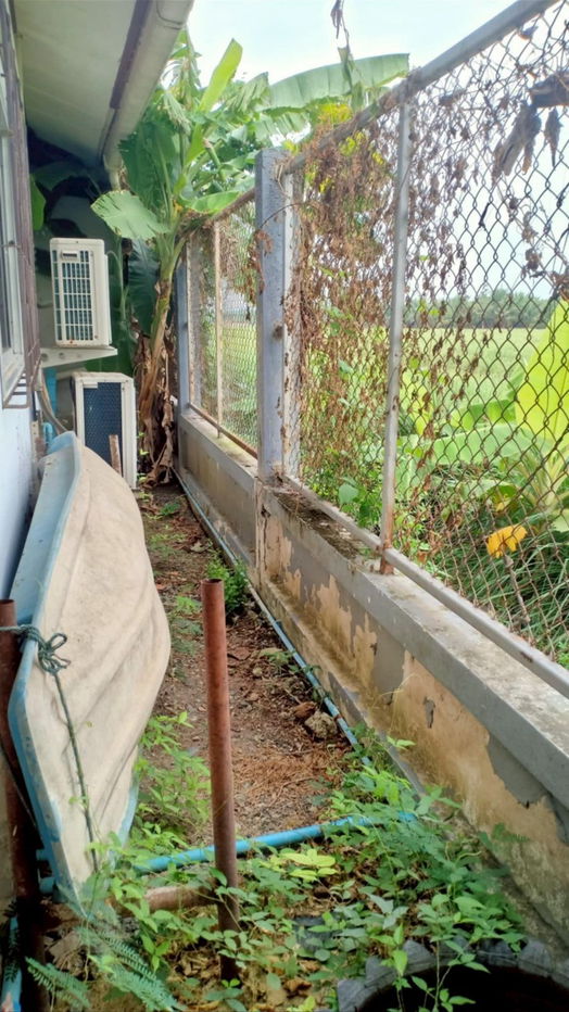 picture House for sale 50 sq.w., Sudarat Village, Klong 7, Nong Sue, Pathum Thani - 26/27