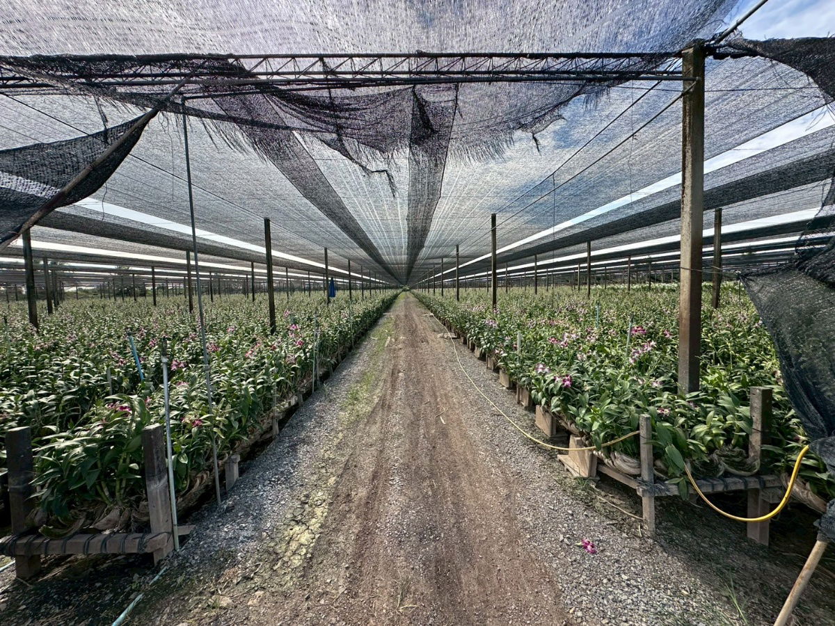 picture Land For Sale 73,104 SQ.M In Nakhon Pathom , Bang Len district - 3/9