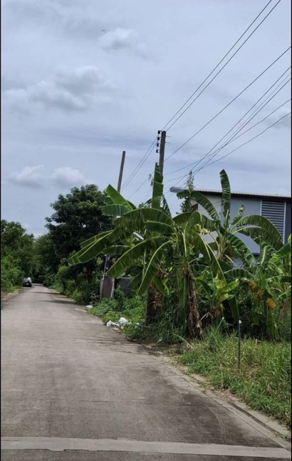รูป ขายที่ถมแล้ว  93.6  ตรว. ใกล้สถานีรถไฟฟ้าสายสีชมพู เมืองทองธานี ต.บ้านใหม่  อ.ปากเกร็ด(ตลาดขวัญ)  จ.นนทบุรี - รูปที่ 2/6