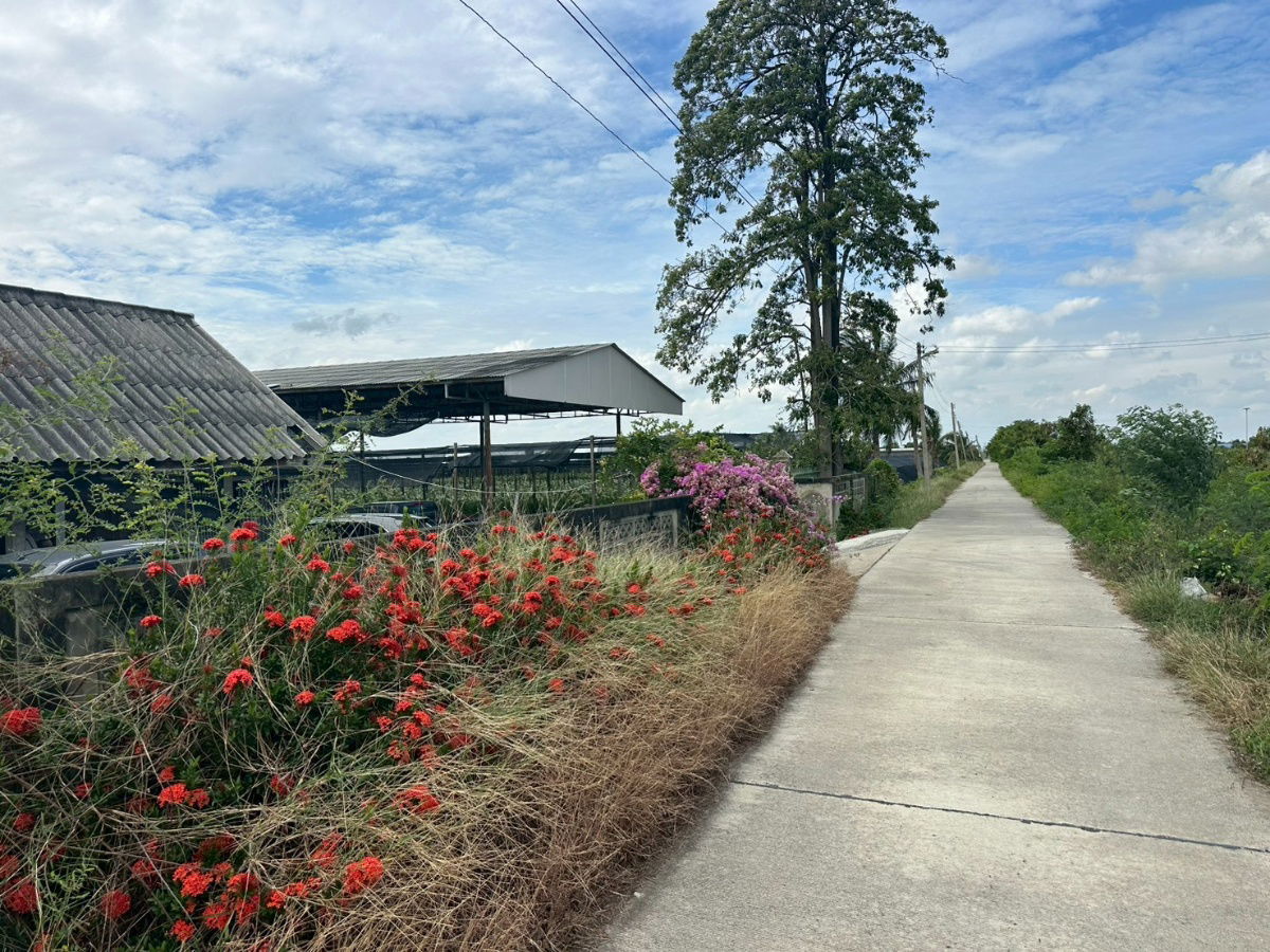 picture Land For Sale 73,104 SQ.M In Nakhon Pathom , Bang Len district - 6/9