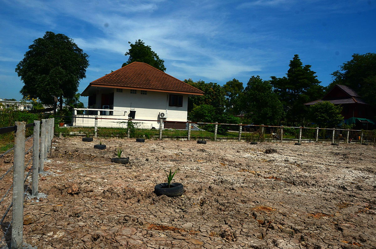 รูป ขายที่ดินซอยติวานนท์ ปากเกร็ด 34 ถมสูง ล้อมรั้วแล้ว เหมาะทำบ้านคฤหาสน์ บ้านครอบครัวใหญ่ อากาศดี เพื่อนบ้านดี - รูปที่ 6/6