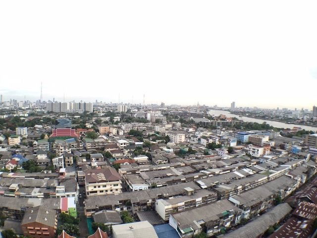 picture The Tree Interchange The Tree Interchange - 8/8