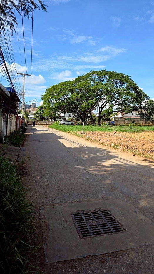 picture Beautiful Land for Sale – Near Khon Kaen University (Kanchanaphisek Side) - 4/4