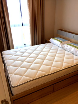 Condos for rent : The tree onnut for rent 28sqm.1 bedtype 14k per month pls add line paolin1