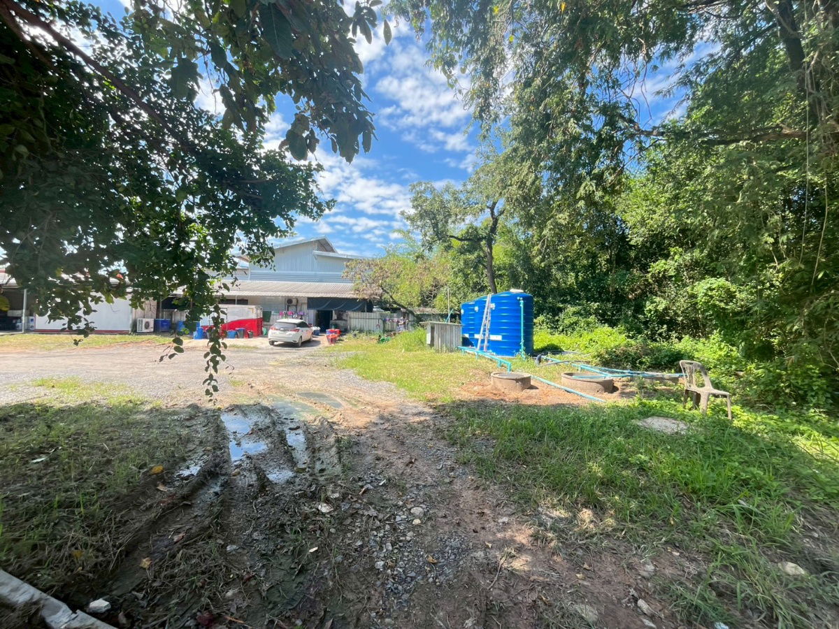 picture Beautiful Land for Sale Near Khon Kaen University - 1/7