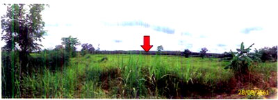Land for sale Sakon Nakhon : LAND 10000 Sq.w. Ban Muang Sakon Nakhon Price on request