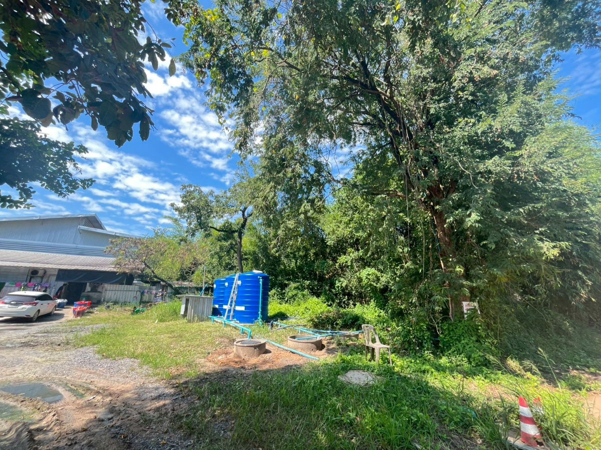 picture Beautiful Land for Sale Near Khon Kaen University - 3/7