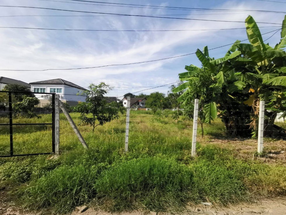 รูป ขายที่ดินเปล่า ขนาด  216 ตร.ว.  นวมินทร์ 24 (ซอยอุเทน 11) ถมแล้ว พร้อมปลูกสร้าง - รูปที่ 12/19