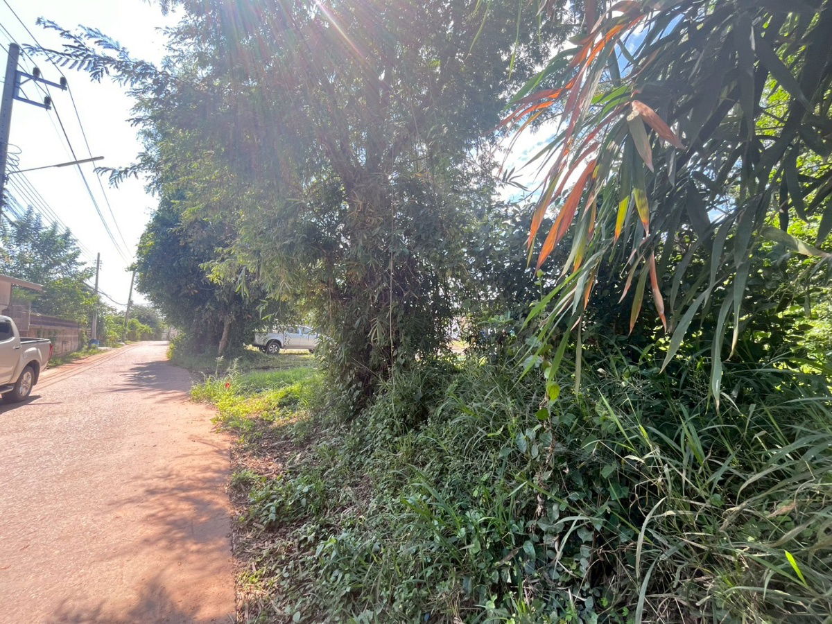 picture Beautiful Land for Sale Near Khon Kaen University - 5/7