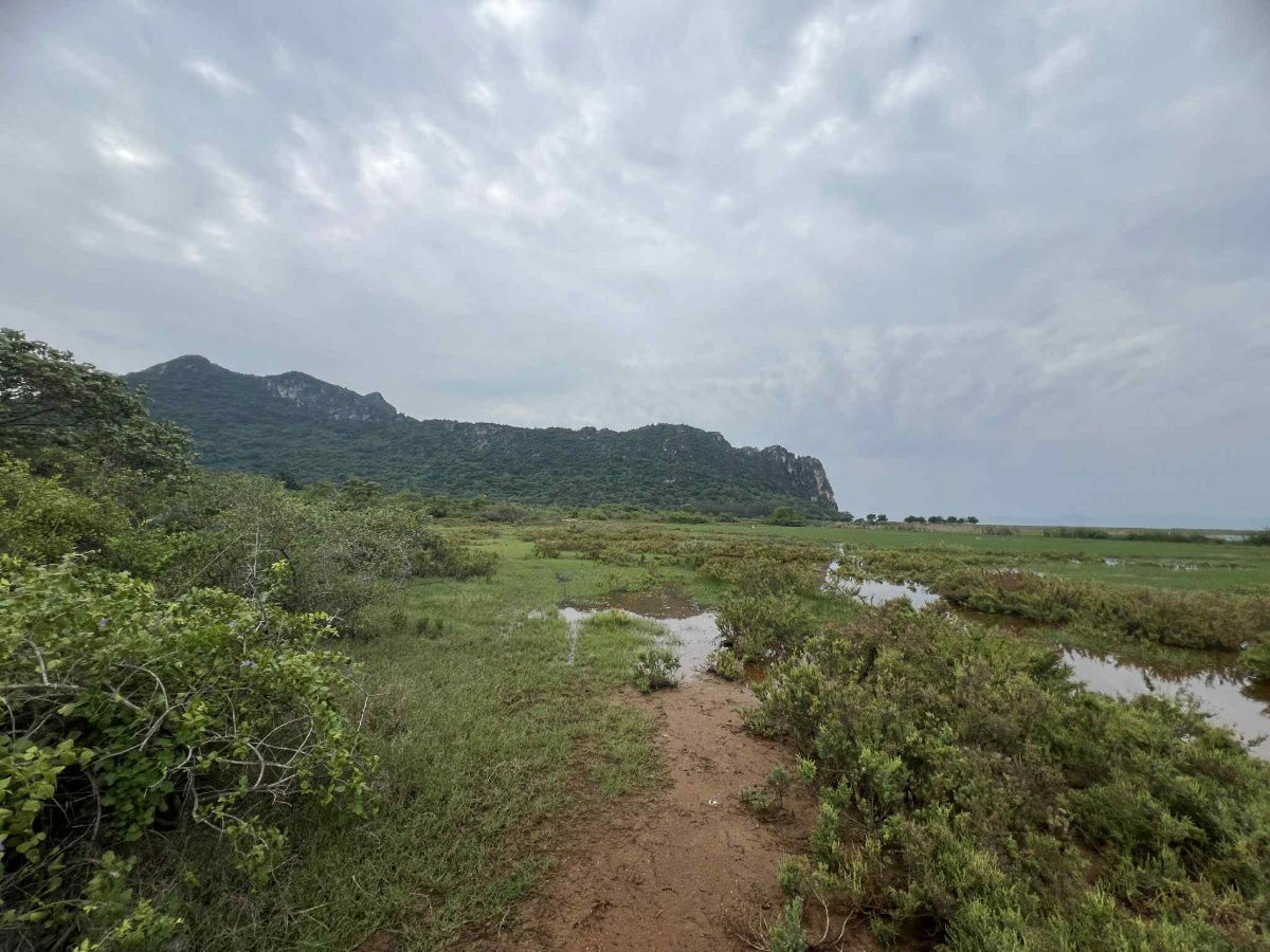 picture Large plot of land for sale, area 732 rai, Sam Roi Yot District, NS3K (can be changed to NS4J) - 4/7