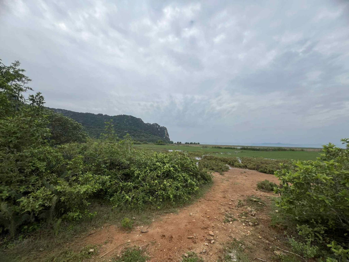 picture Large plot of land for sale, area 732 rai, Sam Roi Yot District, NS3K (can be changed to NS4J) - 5/7