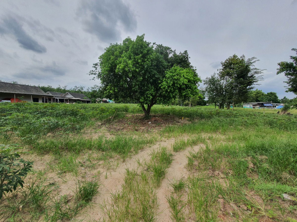 picture LAND FOR RENT GOOD FOR INVESTMENT - 5/7