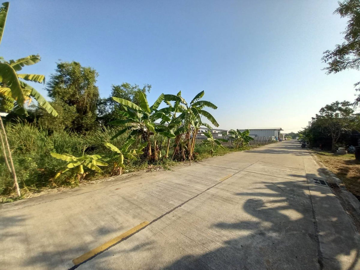 รูป ขายที่ดิน เนื้อที่ 1 ไร่ ลำลูกกาคลอง 4 ปทุมธานี - รูปที่ 4/4