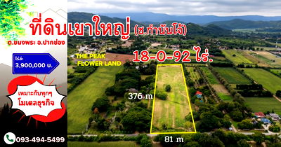 Land for sale Pak Chong Nakhon Ratchasima : #Khao Yai land, Soi Kamnan Joe, 18-0-92 rai (near The Peak Flower Land), 
