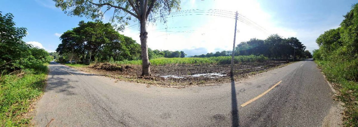 picture #Khao Yai land, Soi Kamnan Joe, 18-0-92 rai (near The Peak Flower Land),  - 3/21