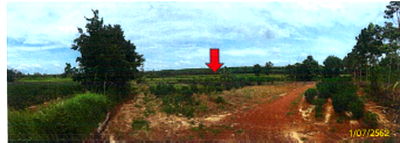 Land for sale Ban Muang Sakon Nakhon : ที่ดินเปล่า 40000 square meter Sakon Nakhon Ban Muang Non Sa-at for null THB