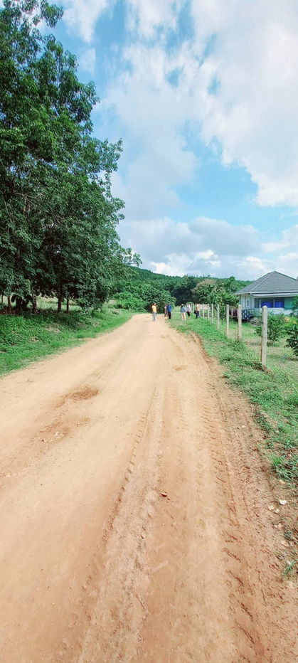 picture For sale at a good price! 12 rai rubber plantation (only 100,000 baht per rai) Ban Huai Thian, Loei Province - 4/7