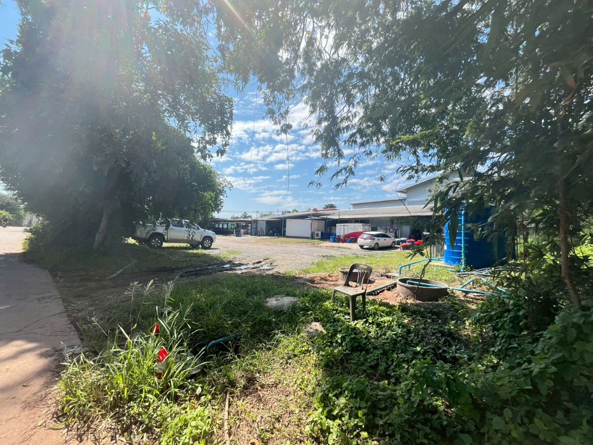 picture Beautiful Land for Sale Near Khon Kaen University - 6/7