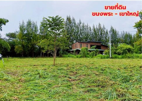 ขายที่ดินแปลงสวย 2 แปลง เริ่มต้น 300 ตร.ว. พร้อมโฉนด นส.4 โซนขนงพระ -​ ปากช่อง เขาใหญ่ ใกล้มอเตอร์เวย์ M6