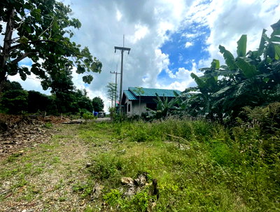 ที่ดิน สอยดาว จันทบุรี : ที่ดินเปล่า 799 ตร.วา อำเภอสอยดาว จังหวัดจันทบุรี 2M