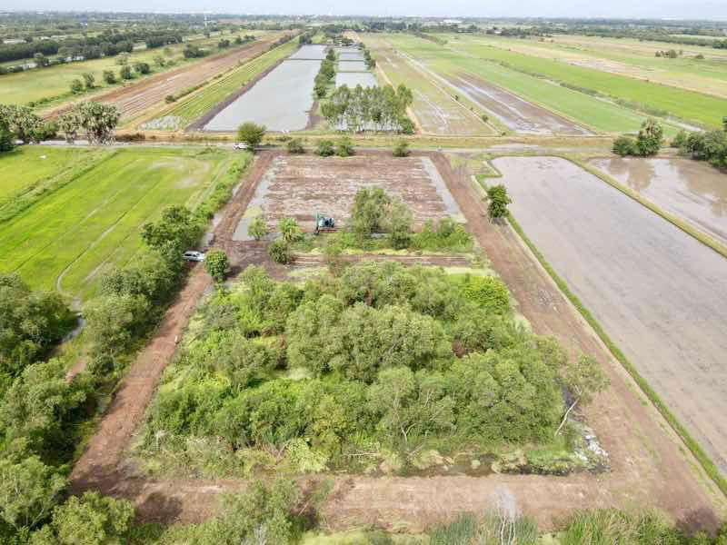 รูป ที่ดินคลองหลวง คลอง5 ปทุมธานี ทำเลดีใกล้มอเตอร์เวย์ เหมาะสร้างบ้าน โกดัง - รูปที่ 6/6