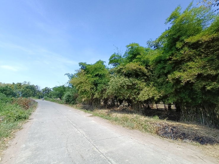 รูป เจ้าของอยากขายที่ดินการเกษตร10ไร่ ใกล้อนุสรณ์ดอนเจดีย์ - รูปที่ 3/10