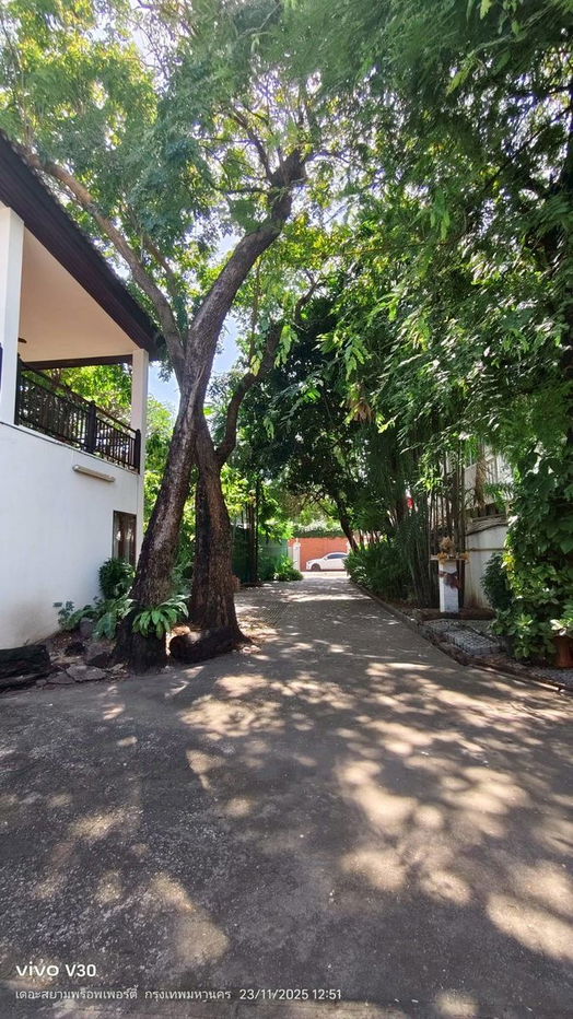 picture 🏡🌳 🔥 !Detached House in the Heart of Phaya Thai (Soi Ari/Sailom) 237 sq.wa, 800 sqm with Private Swimming Pool 🏊 Near BTS Ari - 6/20