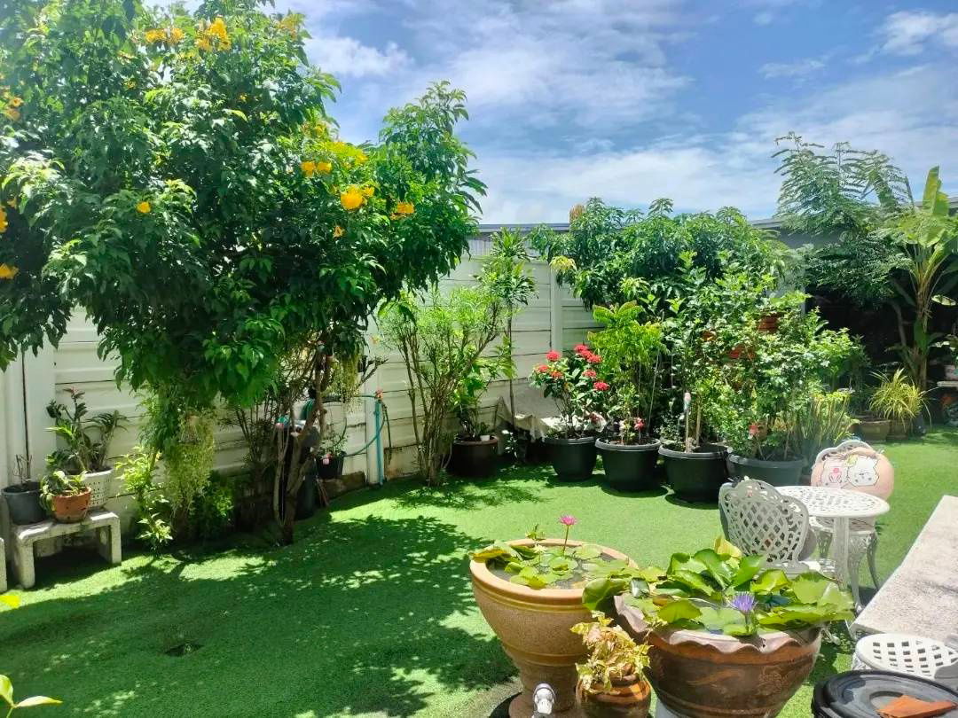 picture The lowest selling price per square wah all expenses from the Land Department! , Siwarom Village, Nature Plus 1 - 22/33