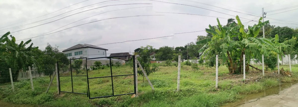 รูป ขายที่ดินเปล่า ขนาด  216 ตร.ว.  นวมินทร์ 24 (ซอยอุเทน 11) ถมแล้ว พร้อมปลูกสร้าง - รูปที่ 8/19