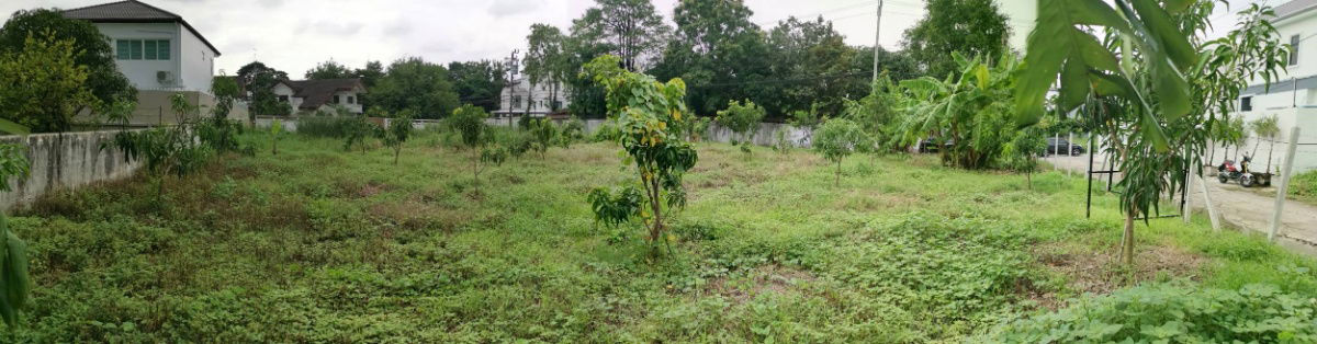 รูป ขายที่ดินเปล่า ขนาด  216 ตร.ว.  นวมินทร์ 24 (ซอยอุเทน 11) ถมแล้ว พร้อมปลูกสร้าง - รูปที่ 5/19