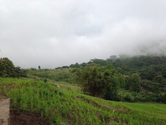 picture For Sale: Hilltop House – Panoramic 360° Views Location: Camp Son Subdistrict, Khao Kho District Land Size: 7 Rai. Living Area: 700 sq.m. - 12/17