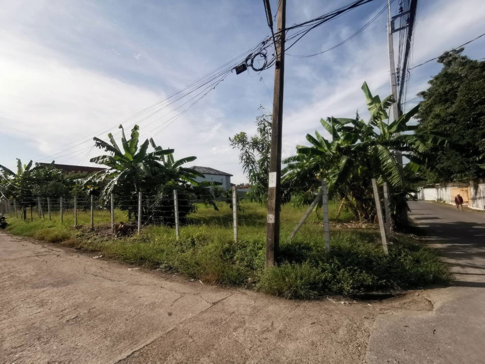 รูป ขายที่ดินเปล่า ขนาด  216 ตร.ว.  นวมินทร์ 24 (ซอยอุเทน 11) ถมแล้ว พร้อมปลูกสร้าง - รูปที่ 17/19
