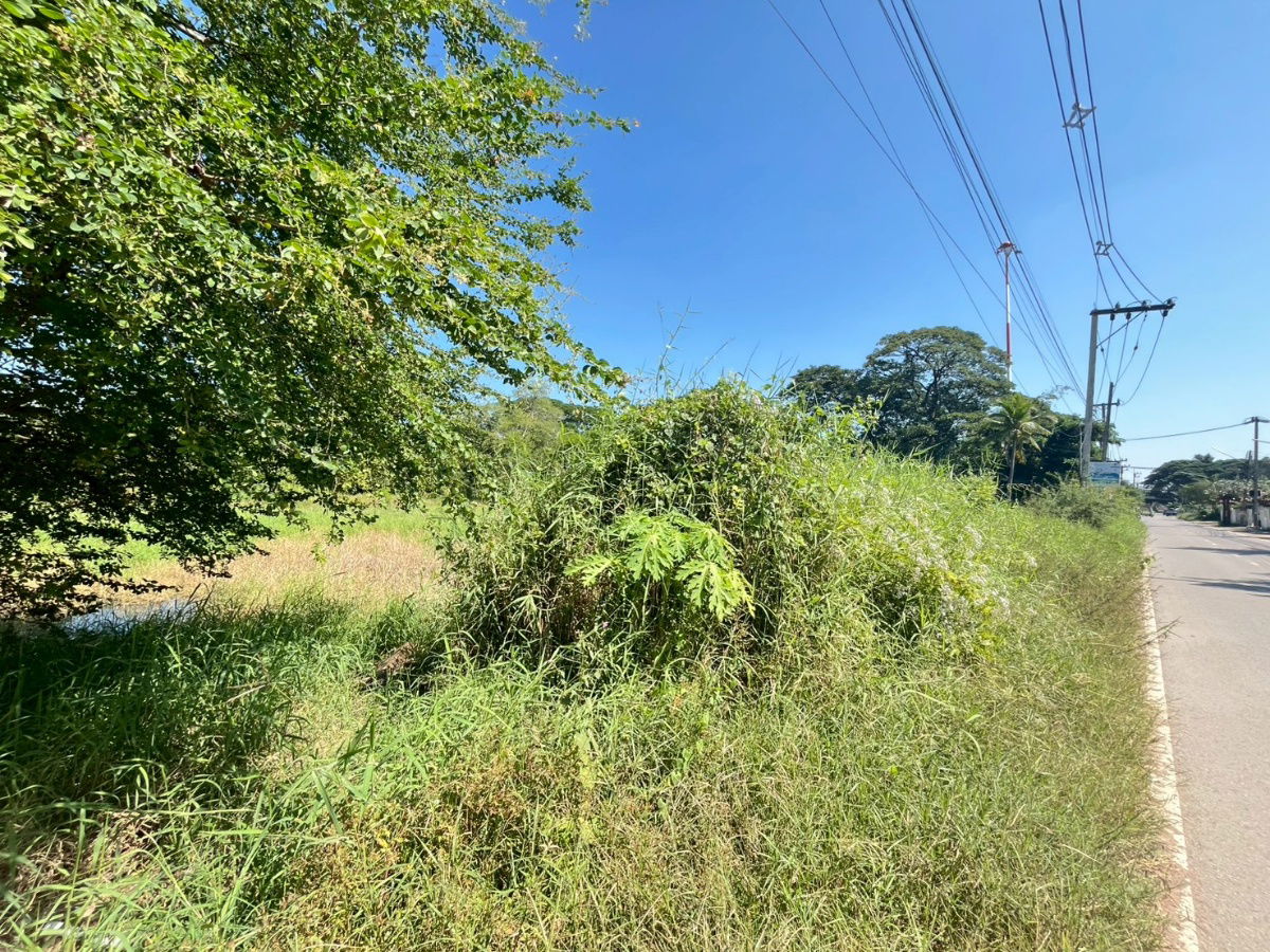 picture Land for Sale – Khon Kaen (R.8 Zone) - 8/9