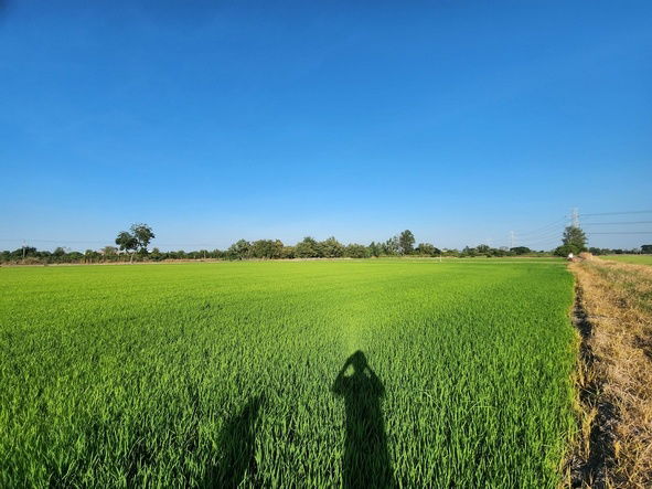 picture FOR SALE  LAND PROPERTY  13000000 BAHT. - 8/8