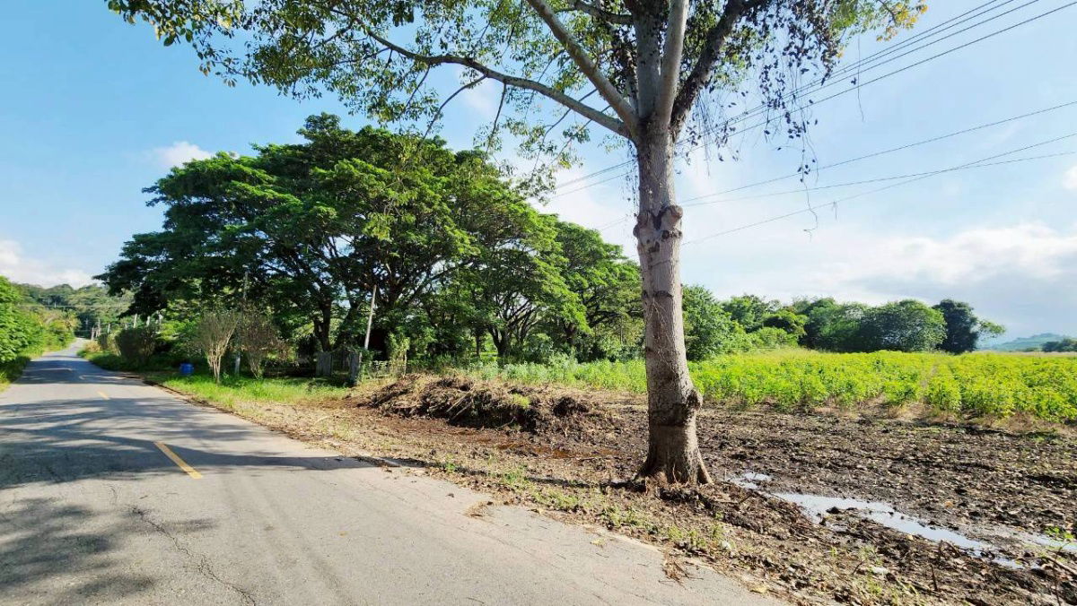 picture #Khao Yai land, Soi Kamnan Joe, 18-0-92 rai (near The Peak Flower Land), - 7/21