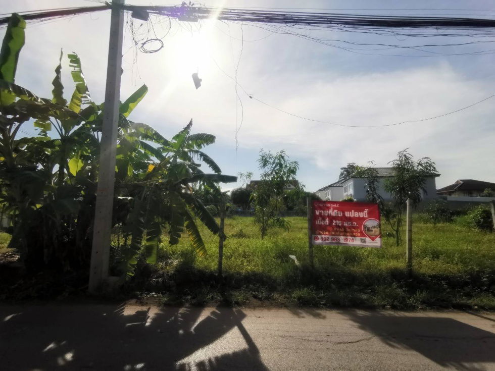 รูป ขายที่ดินเปล่า ขนาด  216 ตร.ว.  นวมินทร์ 24 (ซอยอุเทน 11) ถมแล้ว พร้อมปลูกสร้าง - รูปที่ 15/19